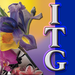 ITG trademark