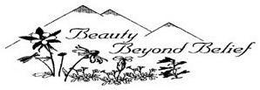 BEAUTY BEYOND BELIEF trademark