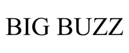 BIG BUZZ trademark