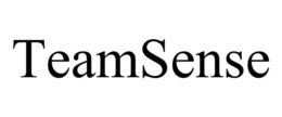 TEAMSENSE trademark
