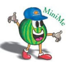 MINIME trademark