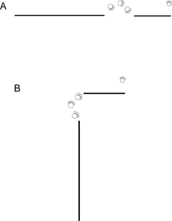 A B trademark