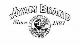 AYAM BRAND SINCE 1892 AYAM BRAND SINCE 1892 trademark