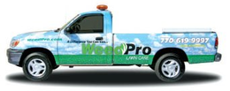 WEEDPRO LAWN CARE WEEDPRO.COM A DIFFERENCE YOU CAN SEE... 770-619-9997 trademark