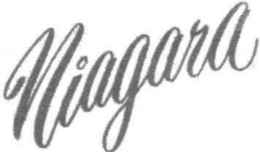 NIAGARA trademark