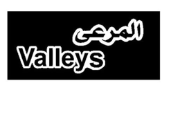 VALLEYS trademark