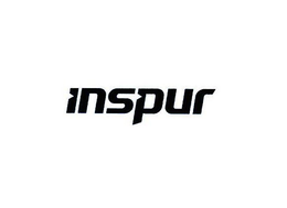 INSPUR trademark