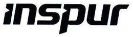 INSPUR trademark