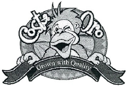 COSTA ORO GROWN WITH QUALITY trademark