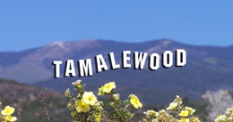 TAMALEWOOD trademark