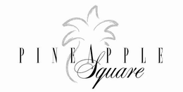 PINEAPPLE SQUARE trademark