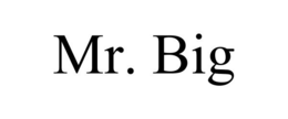 MR. BIG trademark