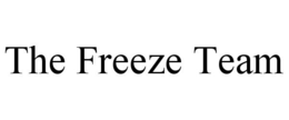 THE FREEZE TEAM trademark