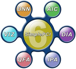 6 SIMPLEAIC DIA IPA QFA VIZ DNN trademark