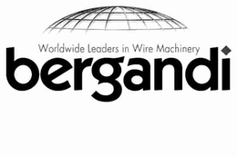 BERGANDI WORLDWIDE LEADERS IN WIRE MACHINERY trademark