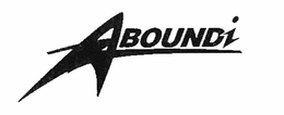 ABOUNDI trademark