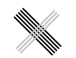 X trademark