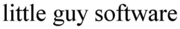 LITTLE GUY SOFTWARE trademark