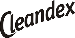 CLEANDEX trademark