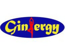 GINERGY trademark
