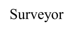 SURVEYOR trademark