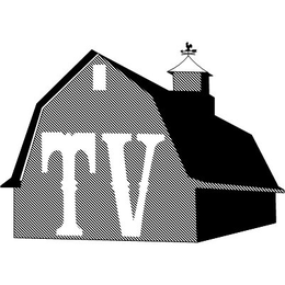 TV trademark