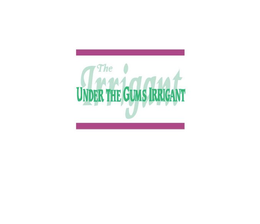 THE IRRIGANT UNDER THE GUMS IRRIGANT trademark