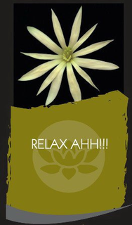 RELAX AHH!!! trademark