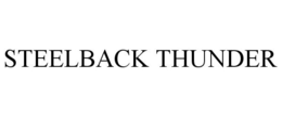 STEELBACK THUNDER trademark