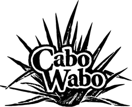 CABO WABO trademark