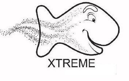 XTREME trademark