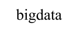BIGDATA trademark