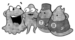 T B trademark