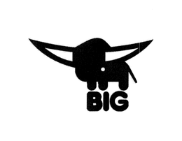 BIG trademark