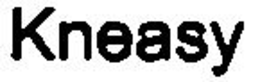 KNEASY trademark