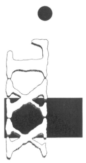 XXL . trademark
