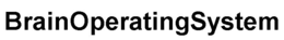 BRAINOPERATINGSYSTEM trademark