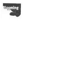 BLOOMING BUSINESS trademark