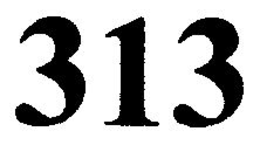 313 trademark
