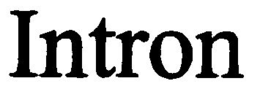 INTRON trademark