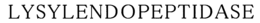 LYSYLENDOPEPTIDASE trademark