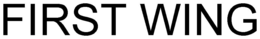 FIRST WING trademark
