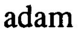 ADAM trademark