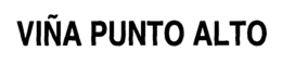 VIÑA PUNTO ALTO trademark
