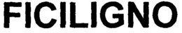 FICILIGNO trademark