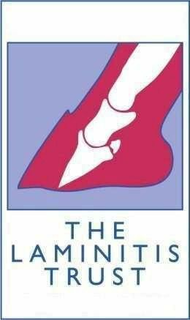 THE LAMINITIS TRUST trademark