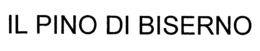 IL PINO DI BISERNO trademark