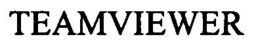 TEAMVIEWER trademark