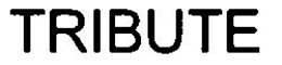 TRIBUTE trademark