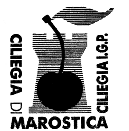 CILIEGIA DI MAROSTICA CILIEGIA I.G.P. trademark